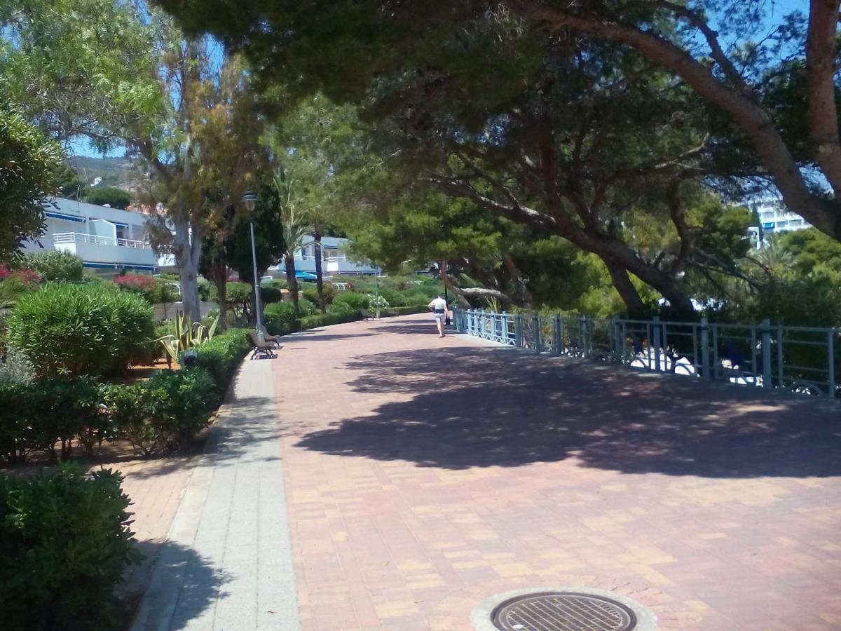 Apartamentos Alcossebre "El Faro Apartaments Alcossebre" Piscina, Playa Y Diversion Dış mekan fotoğraf